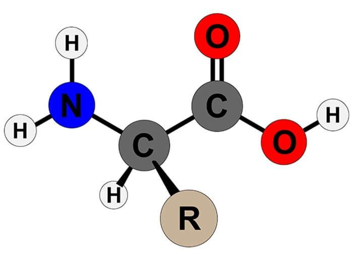 axit-amino-axetic-la-gi