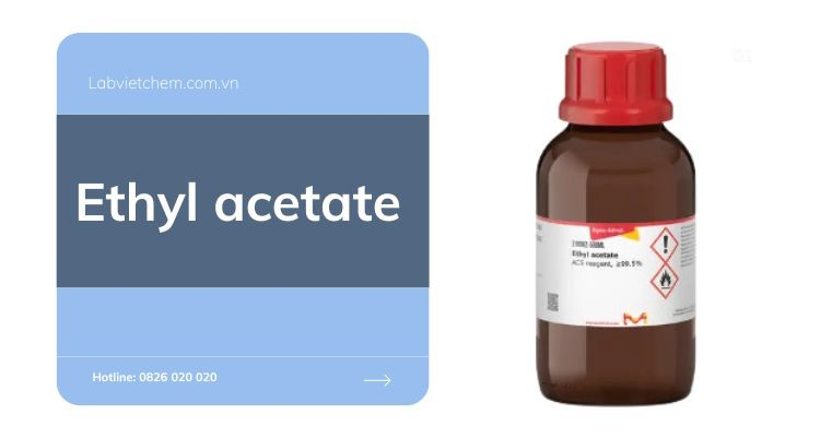ethyl-acetate-la-gi
